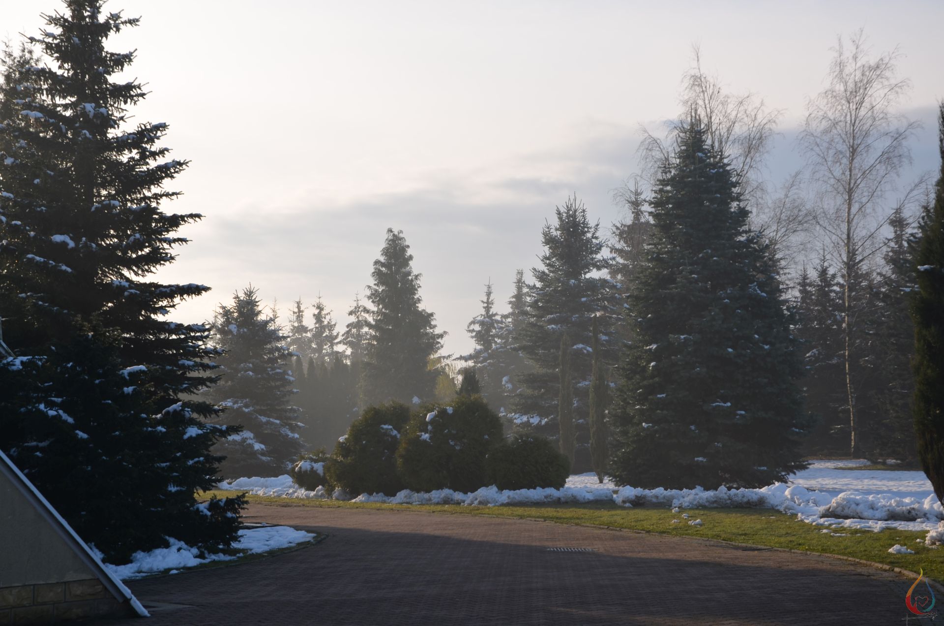 DSC_0396