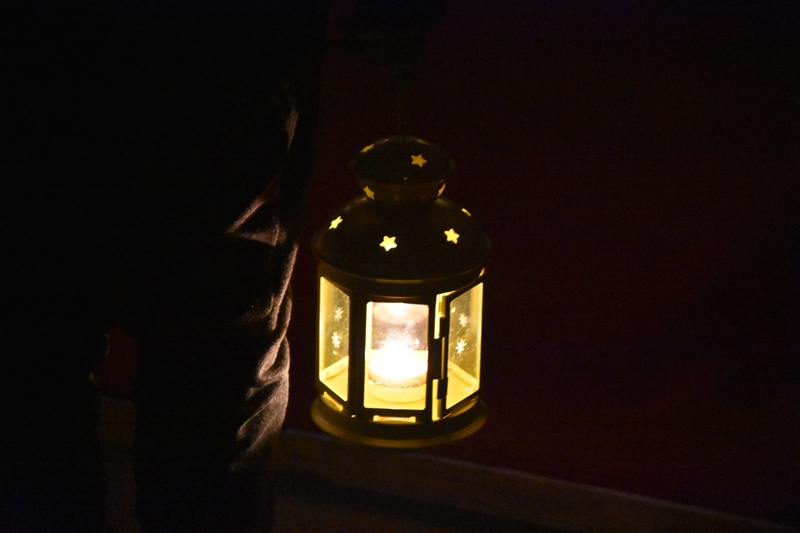 DSC_5000